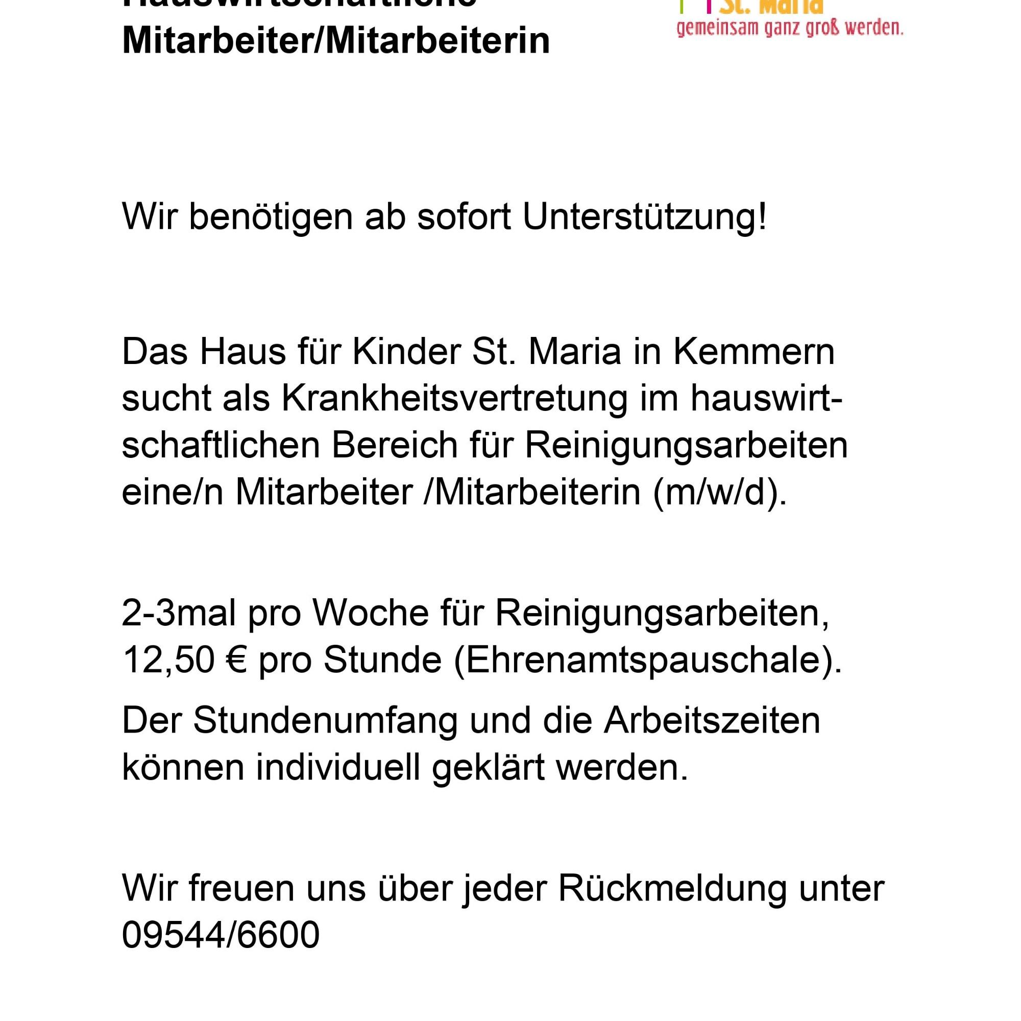 Reinigungskraft
