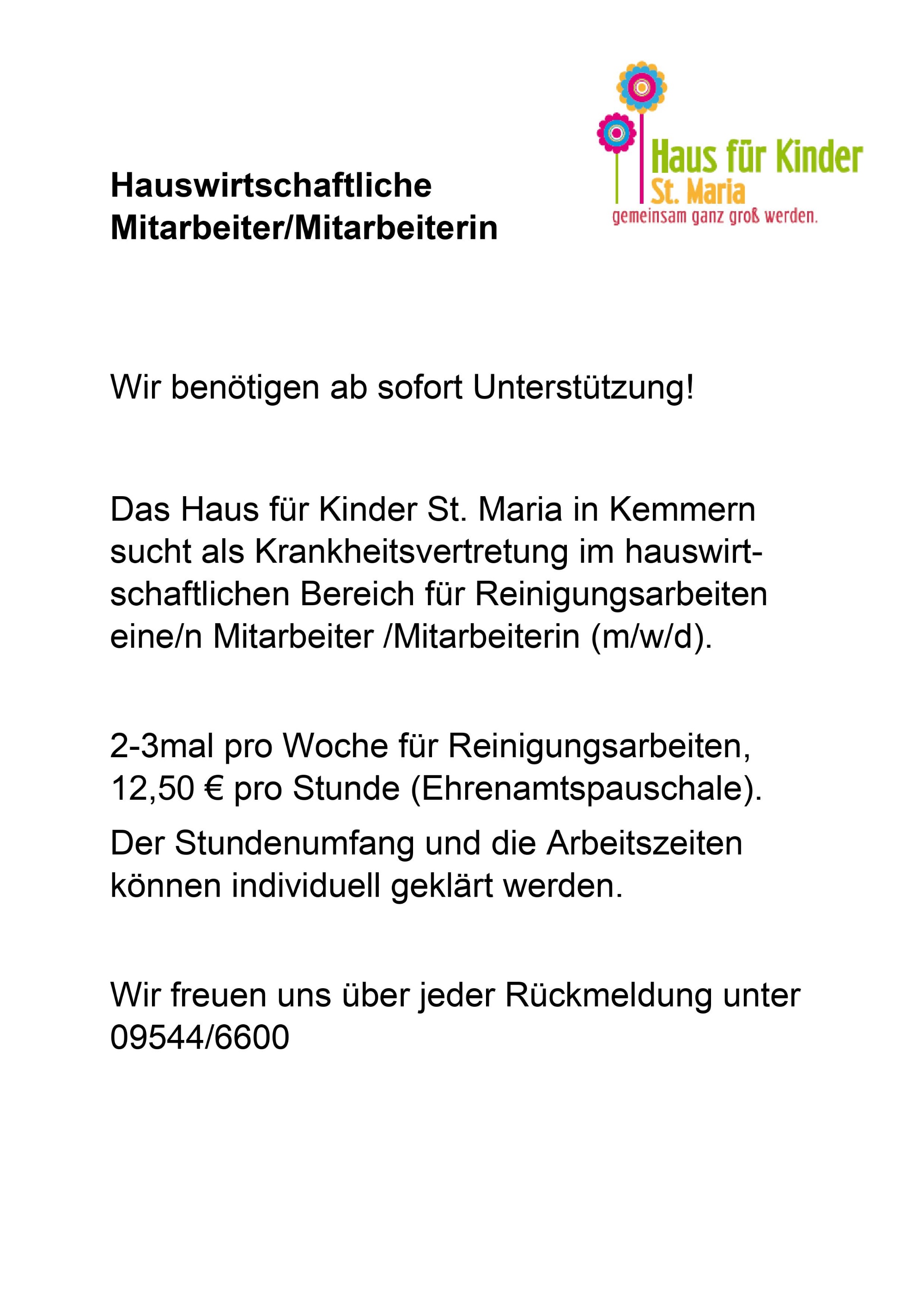 Reinigungskraft